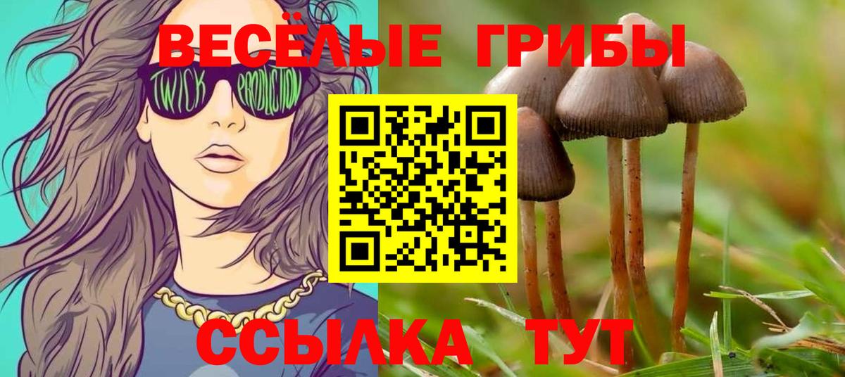 ГАШ Ростов Великий
